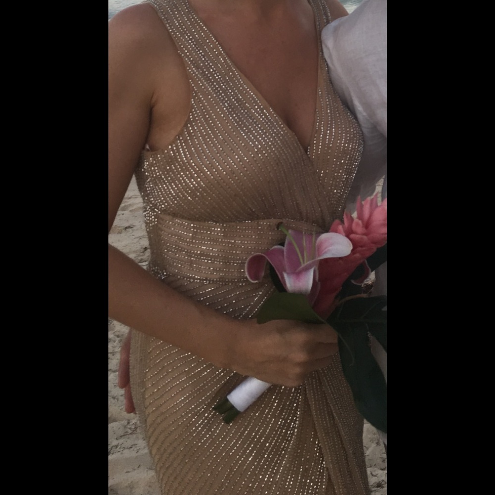 Parker Black Monarch Beaded Blush/Nude Gown - Size 6